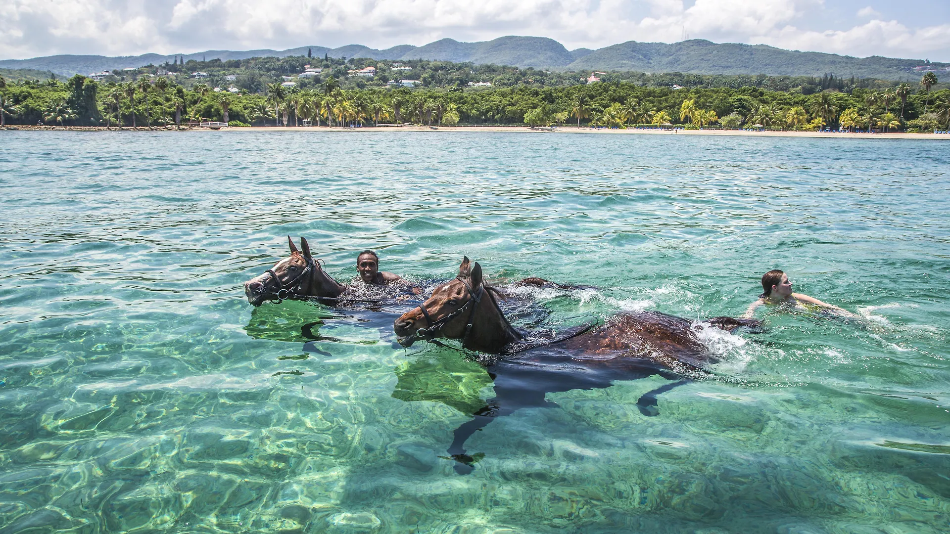 Half Moon Hotel Montego Bay Üdülőközpont